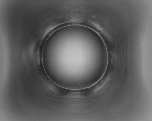 X0000112431214200908211154