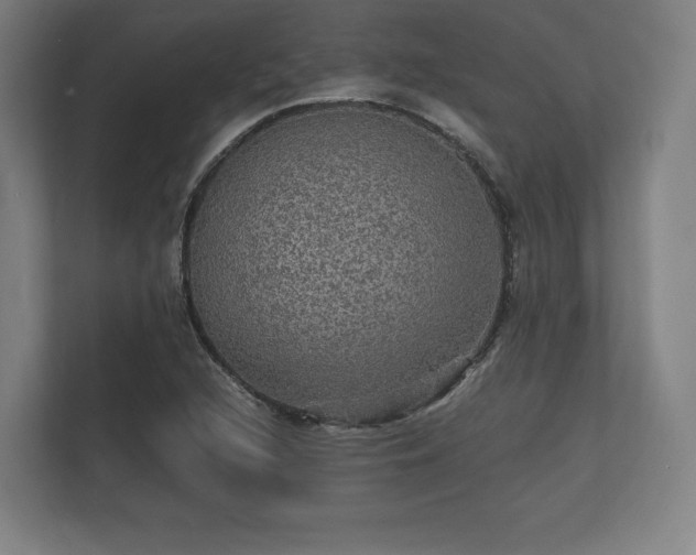 X0000112431216200908211154
