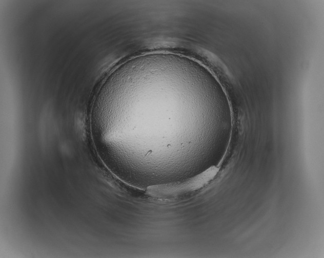 X0000112431217200908211154