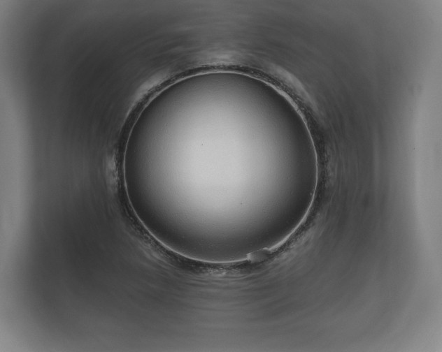 X0000112431218200908211154