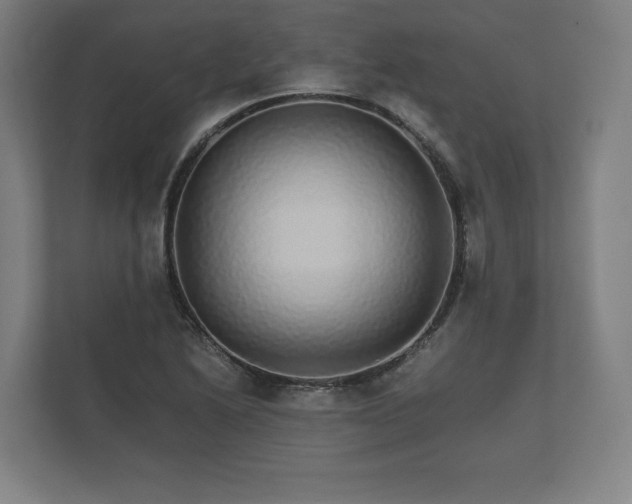 X0000112431222200908211154