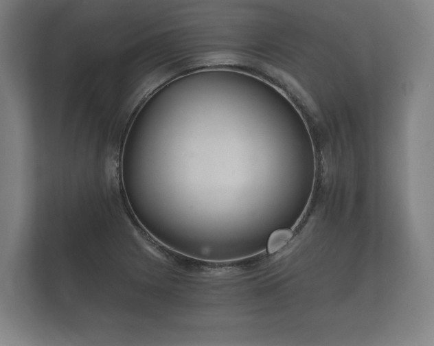 X0000112431225200908211154