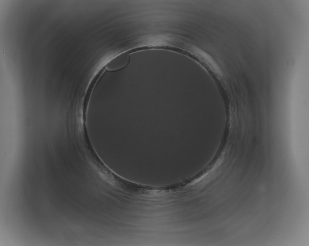 X0000112431226200908211154