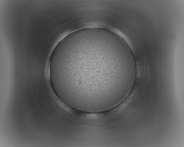 X0000112431227200908211154