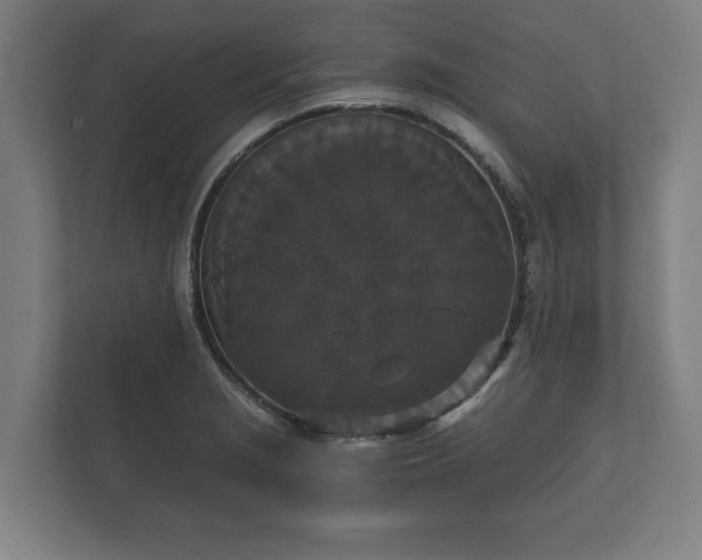 X0000112431229200908211154