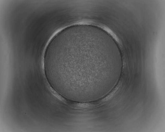X0000112431232200908211154