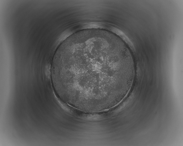 X0000112431233200908211154