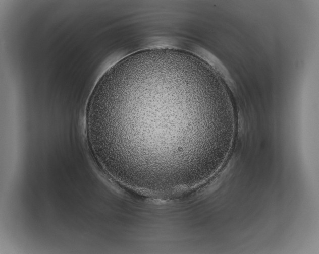 X0000112431234200908211154