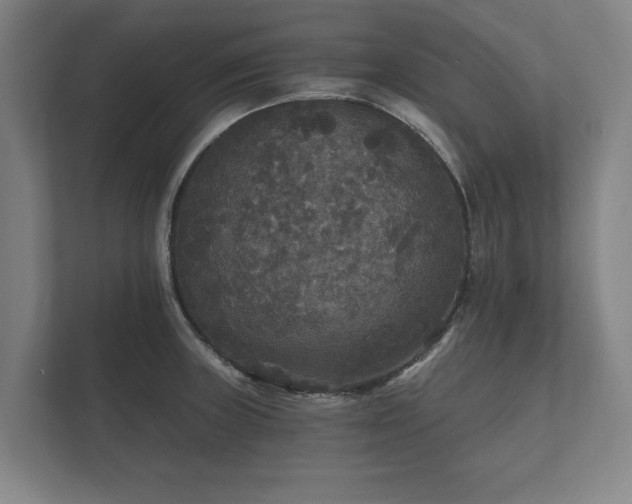 X0000112431235200908211154