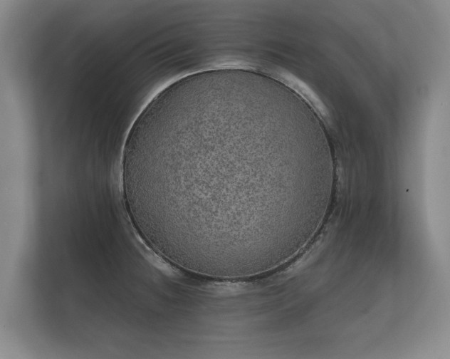 X0000112431236200908211154