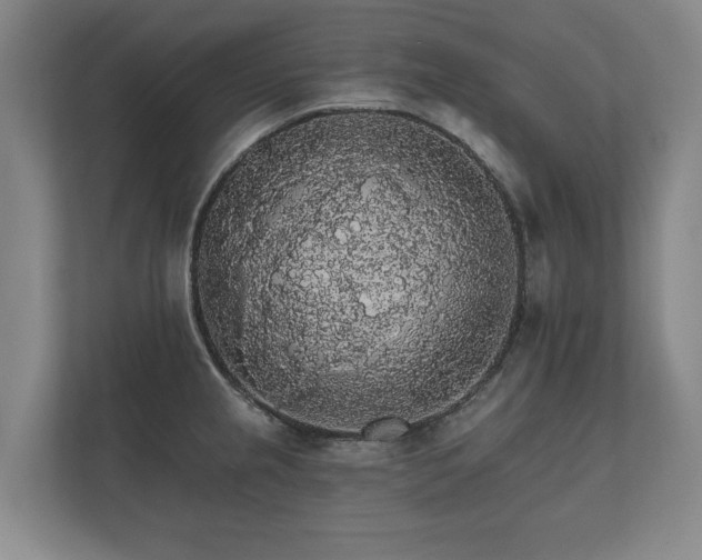 X0000112431237200908211154
