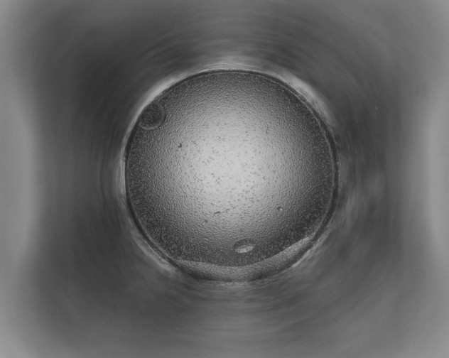 X0000112431238200908211154