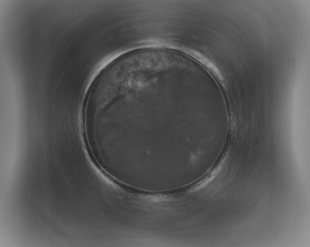 X0000112431239200908211154