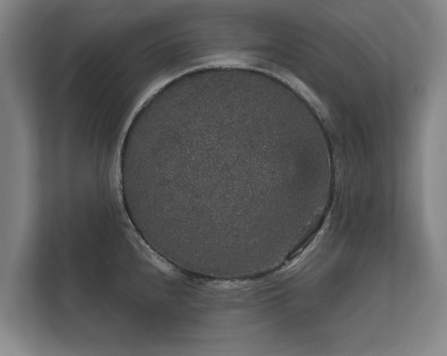 X0000112431240200908211154