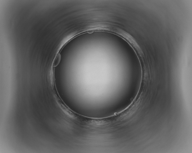 X0000112431242200908211154