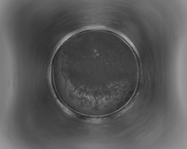 X0000112431245200908211154