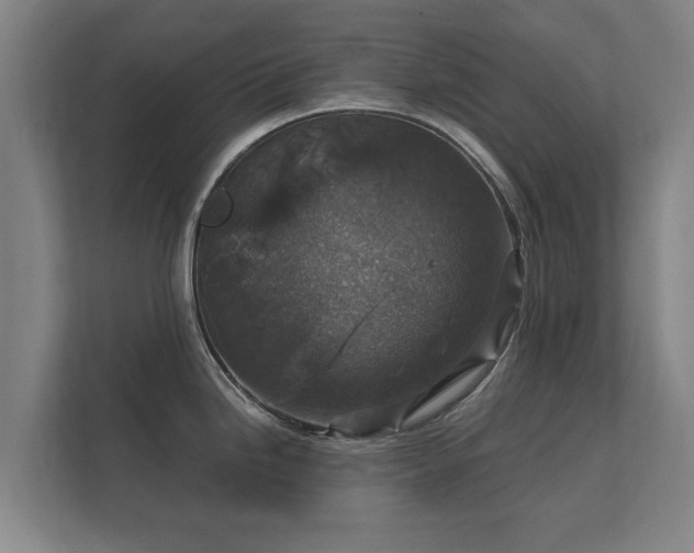 X0000112431246200908211154