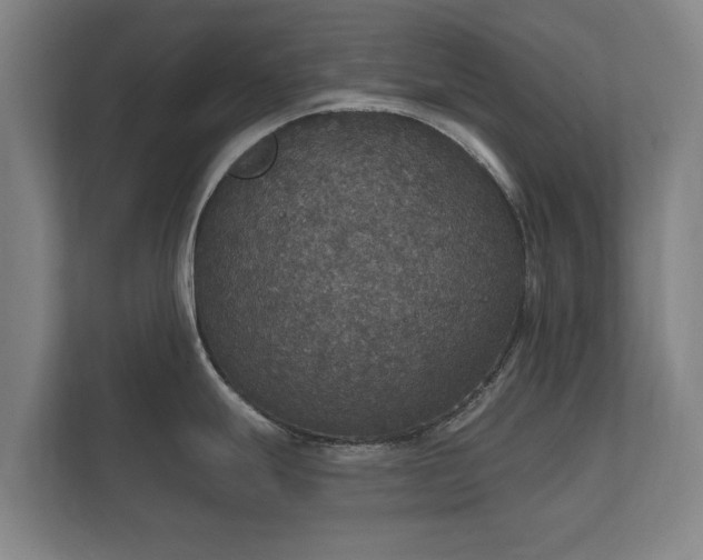 X0000112431247200908211154