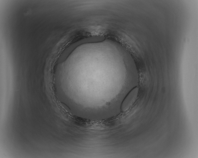 X0000112431249200908211153