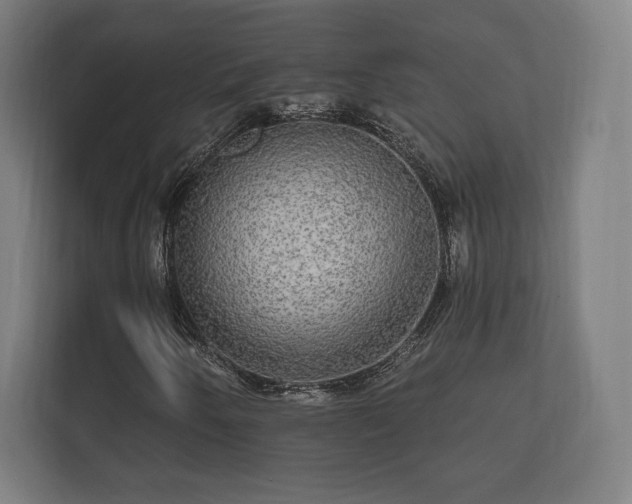 X0000112431250200908211153