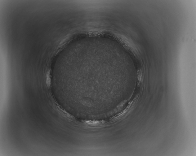 X0000112431252200908211153