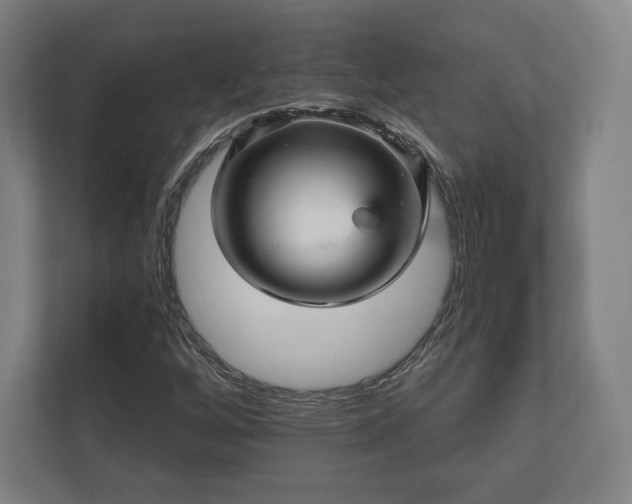 X0000112431256200908211153