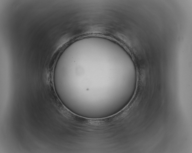 X0000112431258200908211153