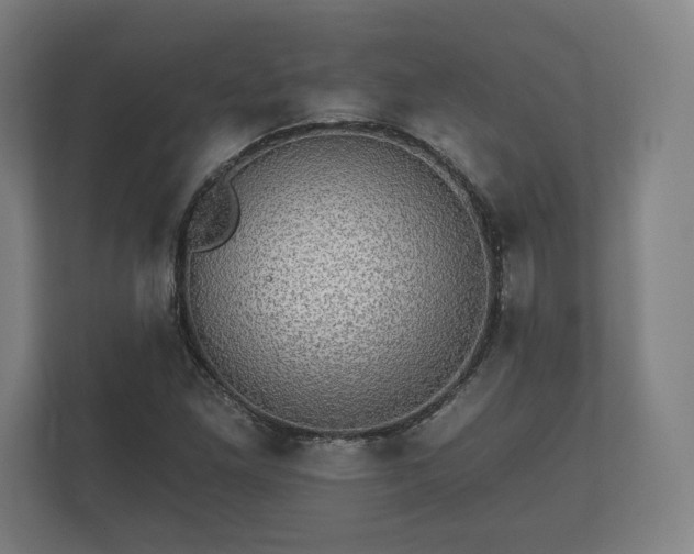 X0000112431261200908211153