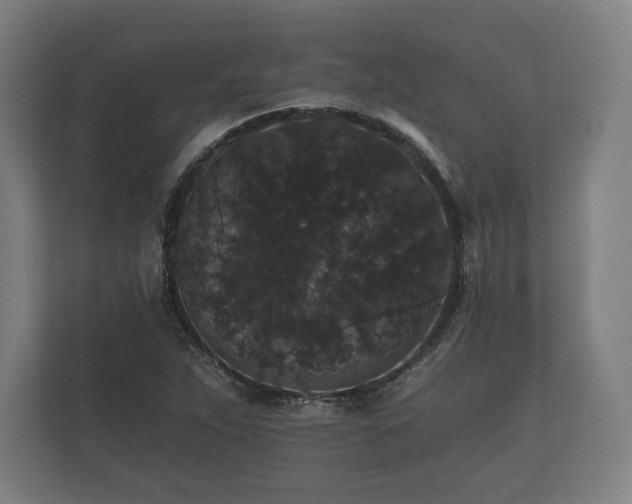 X0000112431263200908211153
