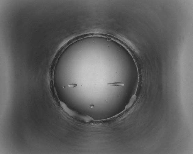 X0000112431264200908211153