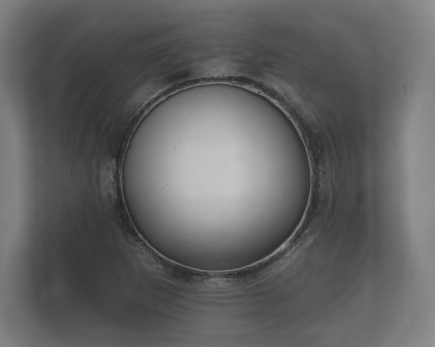 X0000112431265200908211153