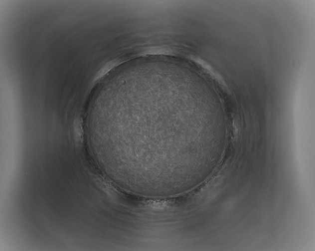 X0000112431266200908211153