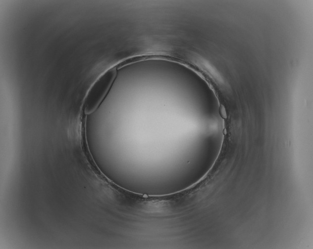 X0000112431268200908211153