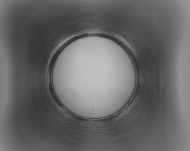 X0000112431270200908211153