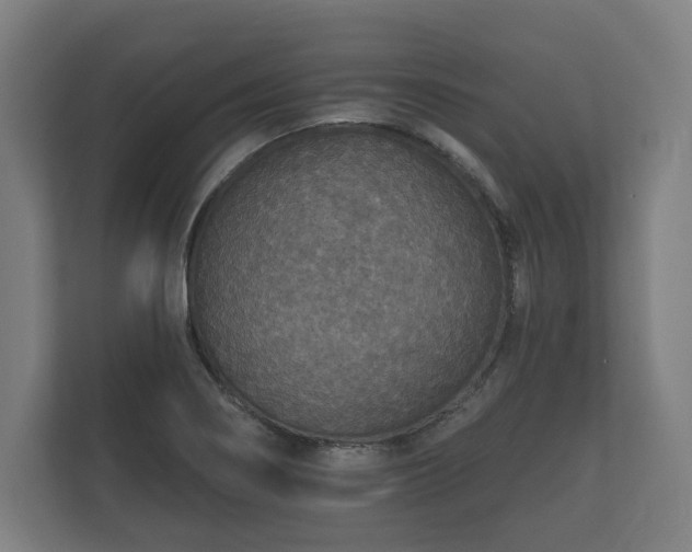 X0000112431274200908211153