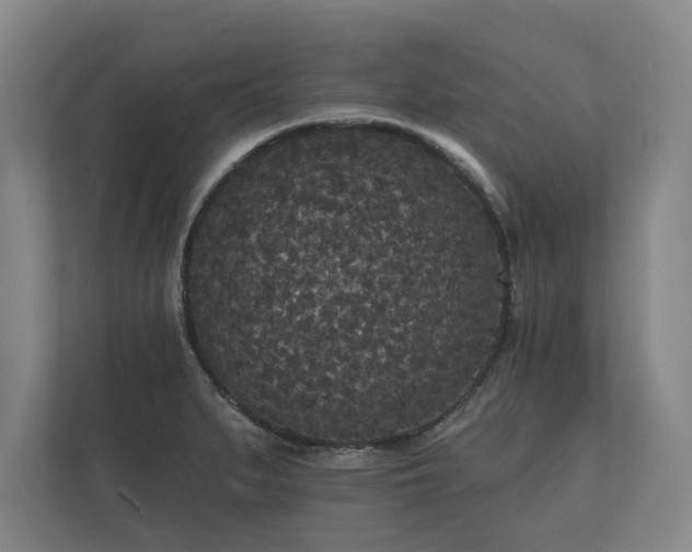 X0000112431279200908211153