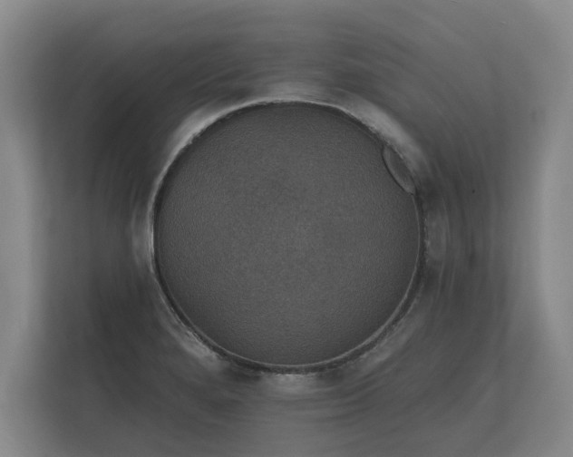 X0000112431280200908211153