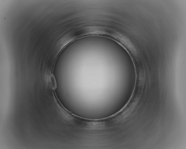 X0000112431281200908211153