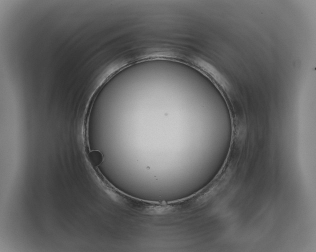X0000112431282200908211153