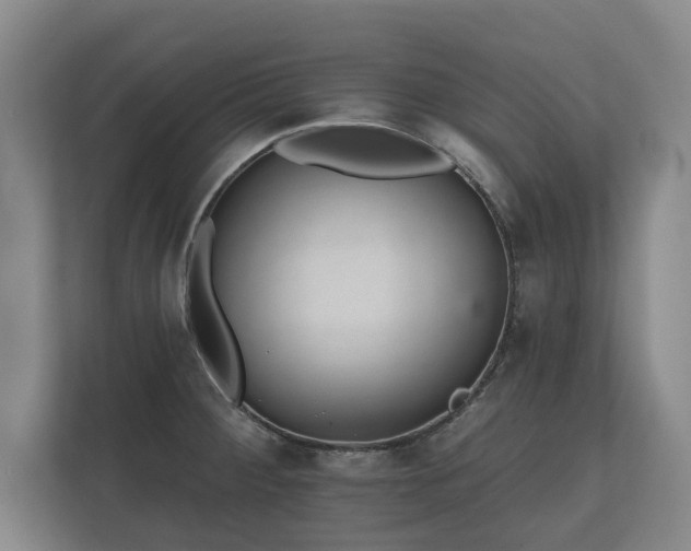 X0000112431284200908211153