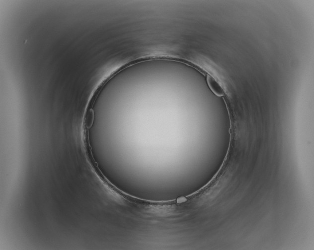 X0000112431285200908211153