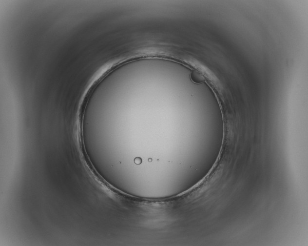 X0000112431286200908211153