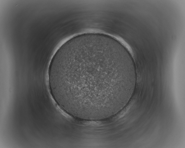 X0000112431287200908211153