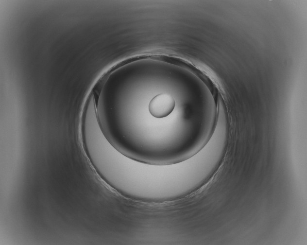X0000112431288200908211153