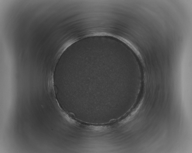 X0000112431289200908211153