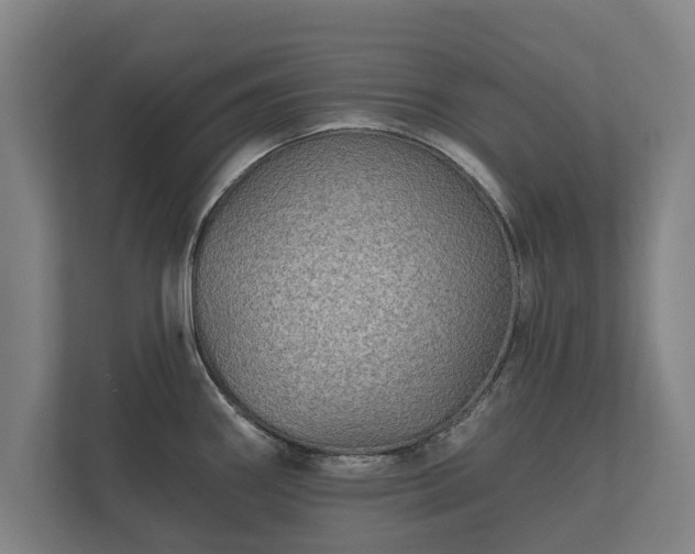 X0000112431290200908211153