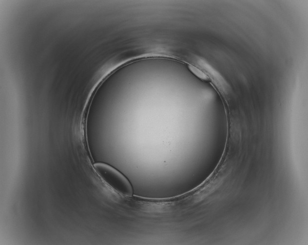 X0000112431292200908211153