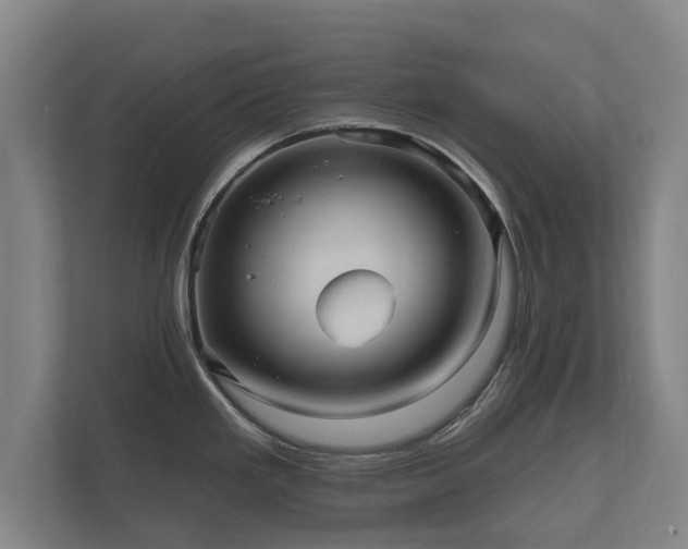 X0000112431293200908211153