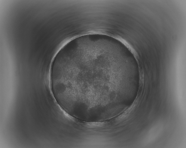 X0000112431294200908211153