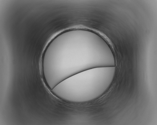 X0000112431295200908211153